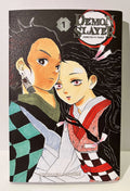 Couverture Demon Slayer tome 1 édition collector avec deux personnages manga en couleurs vives