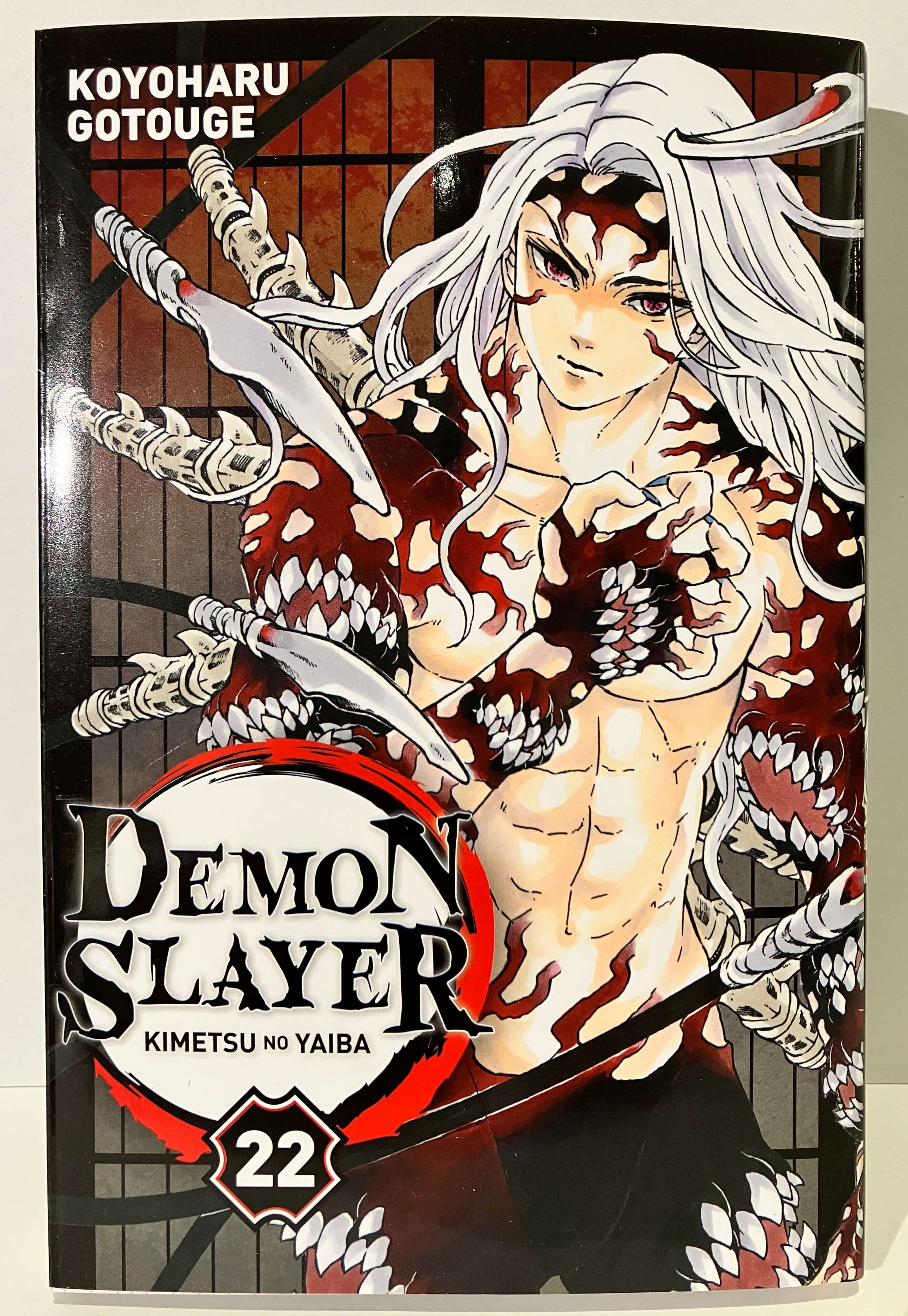 Demon Slayer tome 22 de Koyoharu GOTOUGE